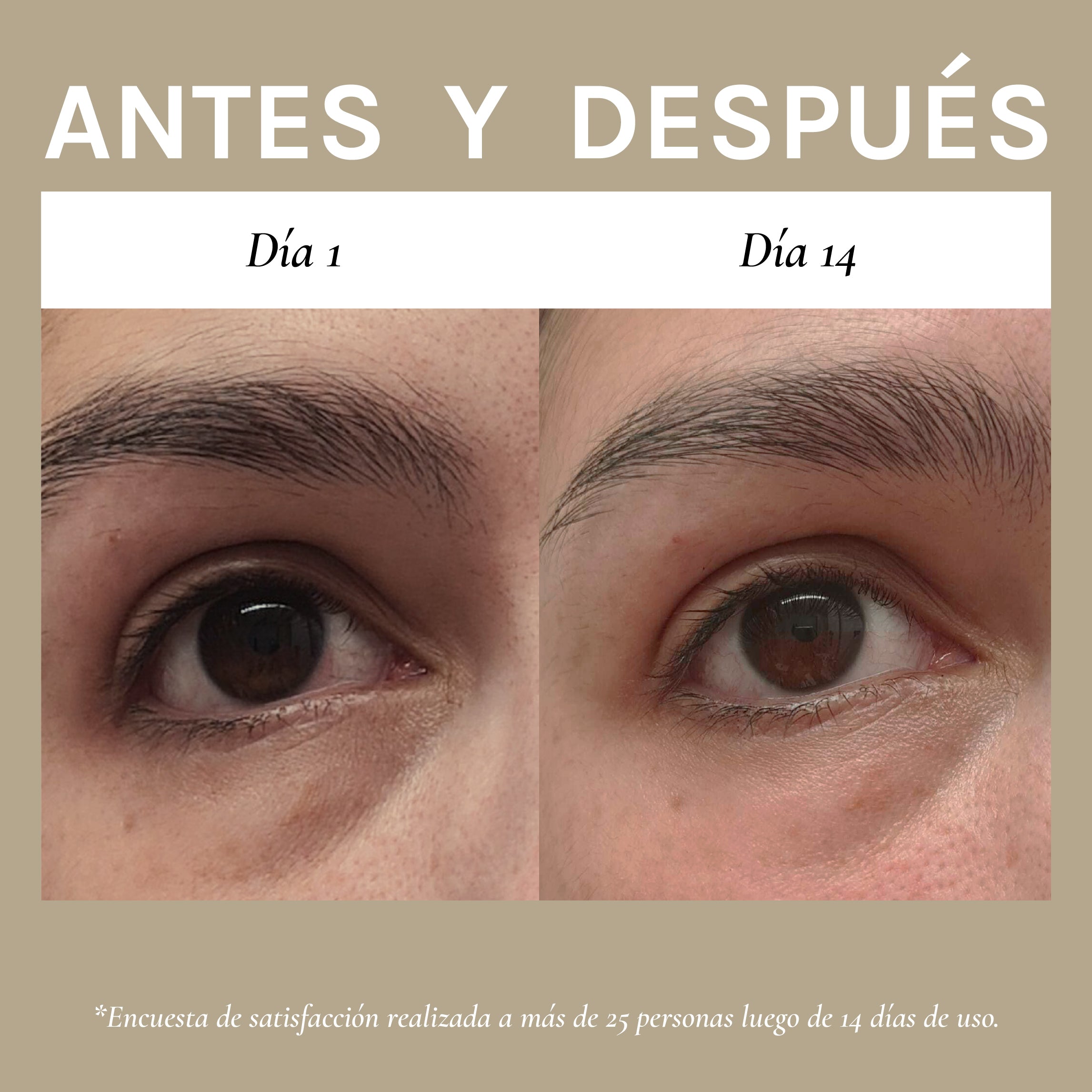 Eye Lift | Cosmética Natural | TESSA